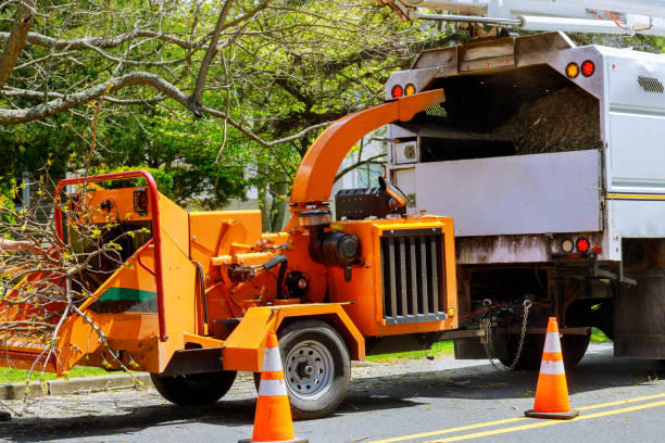 Best Weed Control  in Sewell, NJ