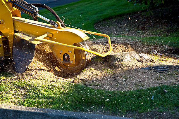 Best Artificial Turf Installation  in Sewell, NJ