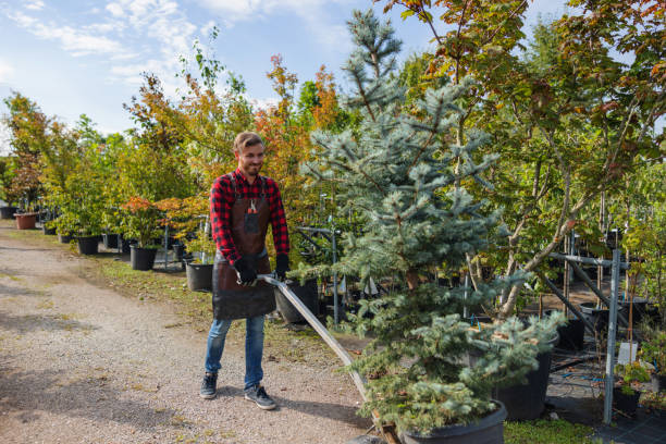 Best Hazardous Tree Removal  in Sewell, NJ